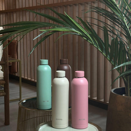 Isolierte Edelstahl Trinkflasche – Soft Pink