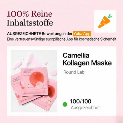 Round Lab Camellia Deep Collagen Firming Gel Mask 4er Pack